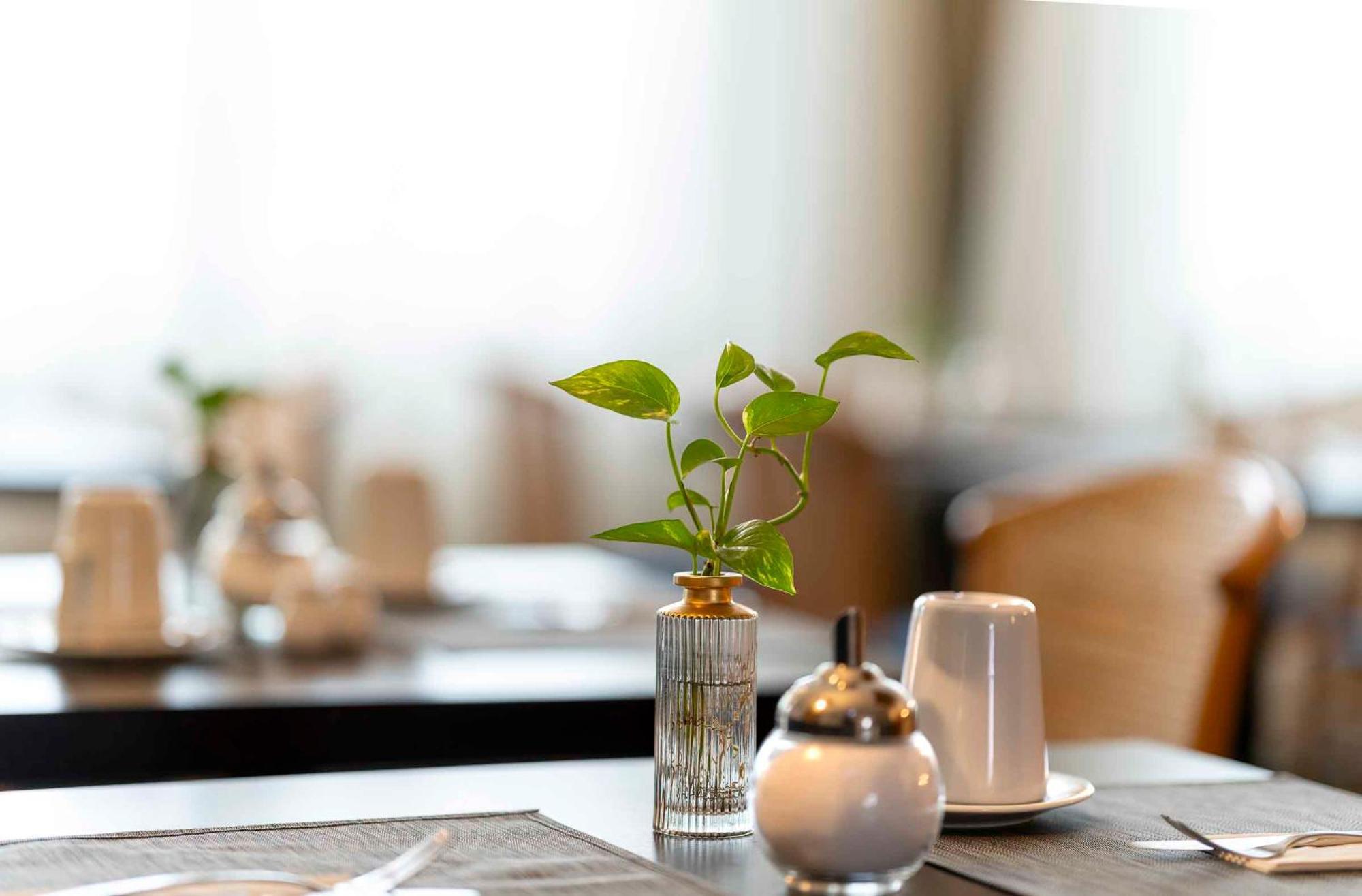 Plaza Inn Blankenburg Ditzingen, Sure Hotel Collection Eksteriør billede