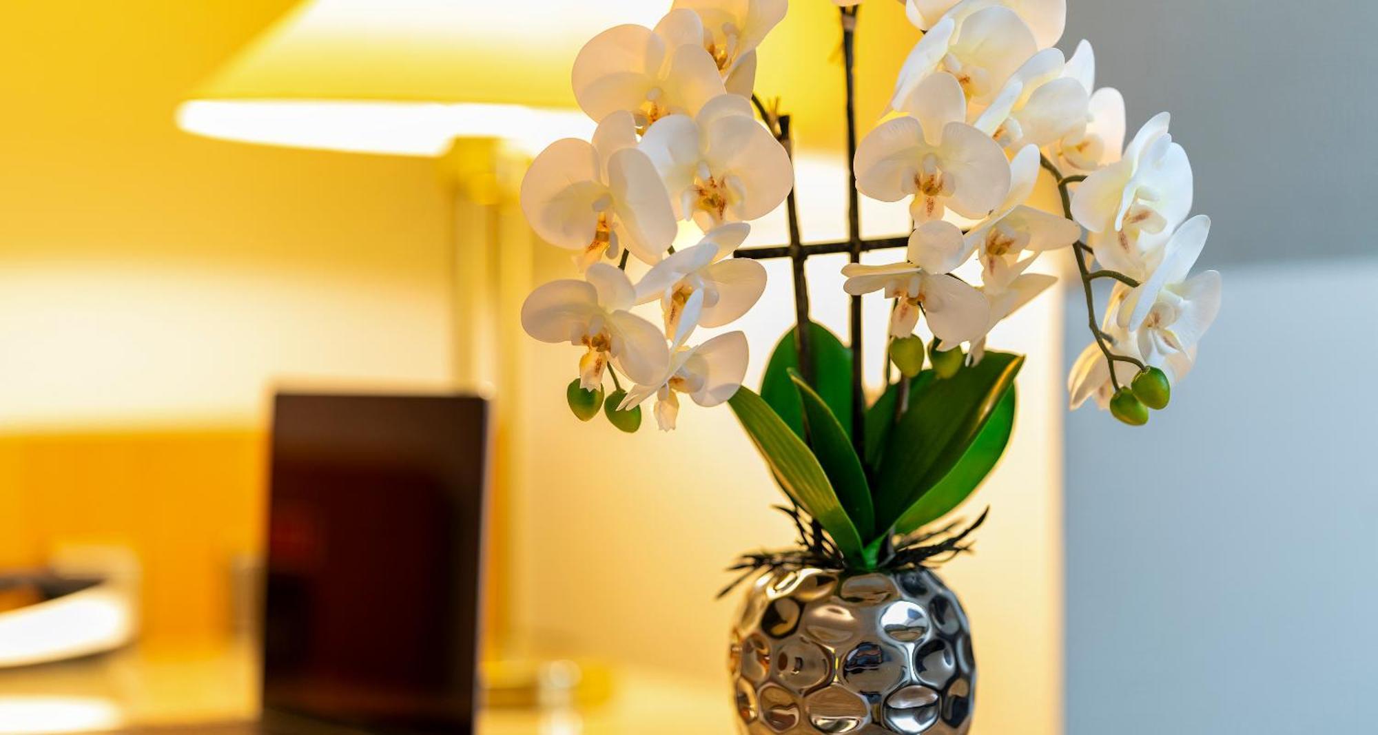 Plaza Inn Blankenburg Ditzingen, Sure Hotel Collection Eksteriør billede